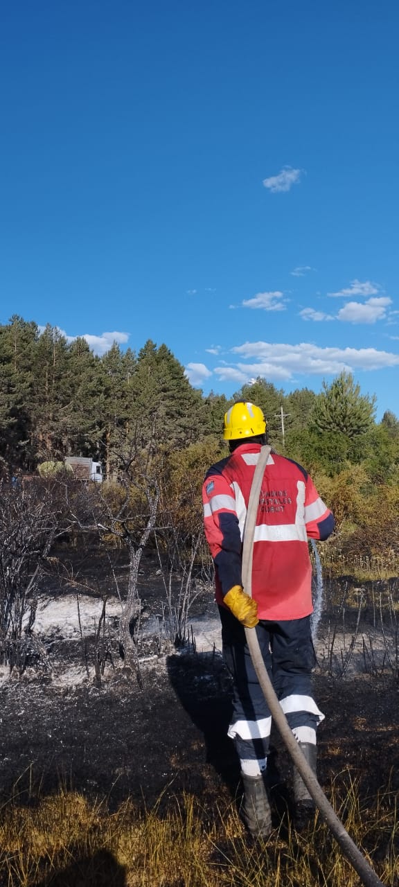 Después de un rápido ataque inicial, Provincia logró contener el incendio forestal en Cholila
